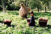 THE EDUCATION EXPO FEATURES EDUCATIONAL FARM-STEADS