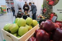 EXPORT OF APPLES DISCUSSED AT THE TARGI KIELCE'S HORTI-TECH