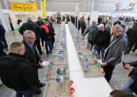 CARRIER AND PEDIGREE PIGEONS AND A HUGE NUMBER OF RABBITS ON DISPLAY AT TARGI KIELCE