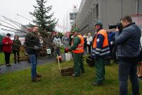 ROLE OF TREES AND  TREE-FELLING DISCUSSED AT THE "GREENERY IN GREAT DEMAND" CONFERENCE