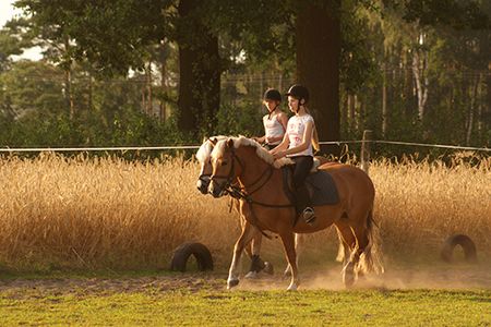 Agrotourism ZAGRODA POD LIPAMI [Farmstead under the Lime Trees], Jabłonna