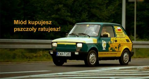 Maluch (a Fiat 126p) in a rally accross Europe promotes Polish bees and beekeeping - now it joins  on HORT-TECHNIKA. Source: fb "Buy honey - save bees" 