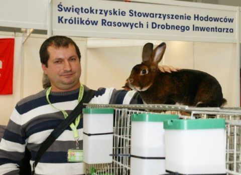 Jacek Szczepanik and the exhibition's most beautiful rabbit