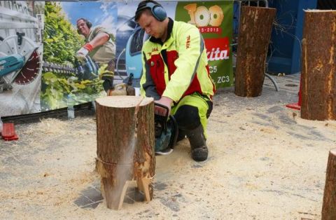 From 17 to 19 March, the Targi Kielce's LAS-EXPO is the arena for  spectacular demonstrations of wood carving - Makita and other companies look forward to seeing you 