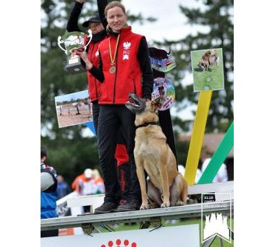 Agnieszka Leszczyńska will present dogs obiedience as a part of the International Pedigree Dog Exhibition  in Targi Kielce