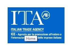 ICE - Agency for the Promotion Abroad and the Internationalization of Italian Companies  Trade Promotion Section of the Embassy of the Italian Republic, is the meeting organiser 