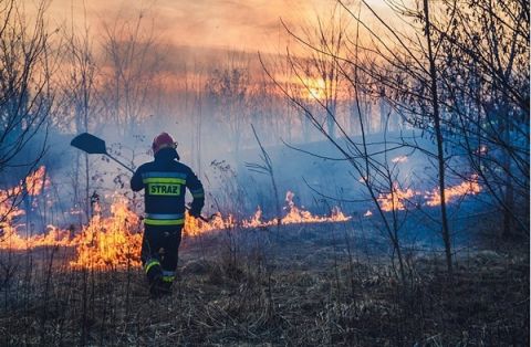 Zachwycające fotografie strażaka-fotografa do zobaczenia podczas IFRE-EXPO 2019