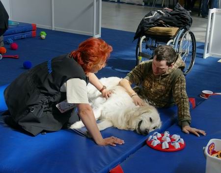 Dog therapy at the REHMED-PLUS trade fair