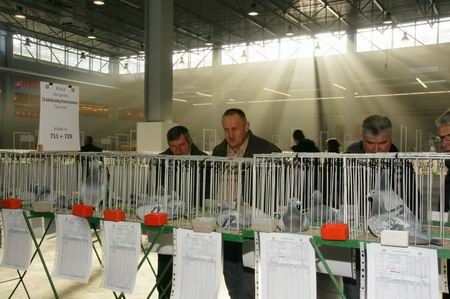 Winged exhibits on display this weekend in Targi Kielce