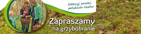 Mistrzostwa Polski Drwali - Lasy Państwowe zapraszają na grzybobranie