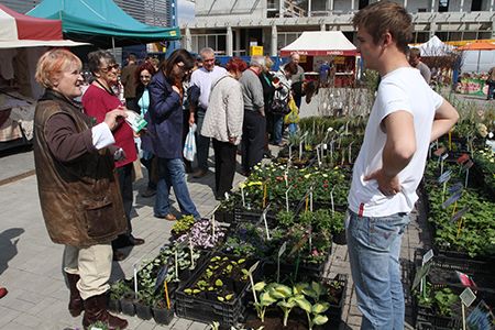 The trade fair is the display of plants and accessories indispensable for garden arrangement