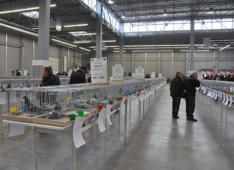 Targi Kielce has hosted nearly 2000 unique specimens at this year's exhibition edition