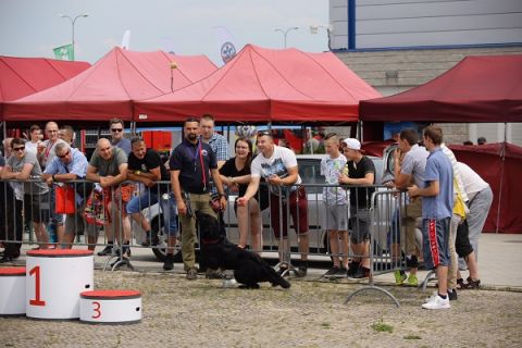 RESCUE DOGS IN LIVE-SHOWS AT TARGI KIELCE